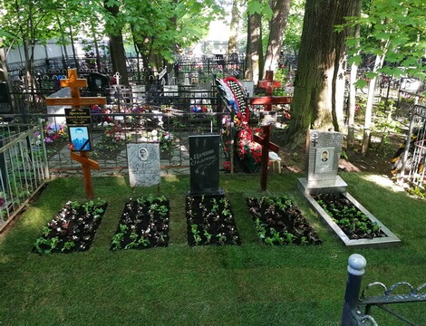 Укладка рулонной травы и озеленение цветников